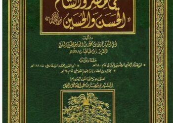 كتاب أبناء الإمام في مصر والشام الحسن والحسين كتاب مزور منحول